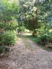listing thumbnail image 27