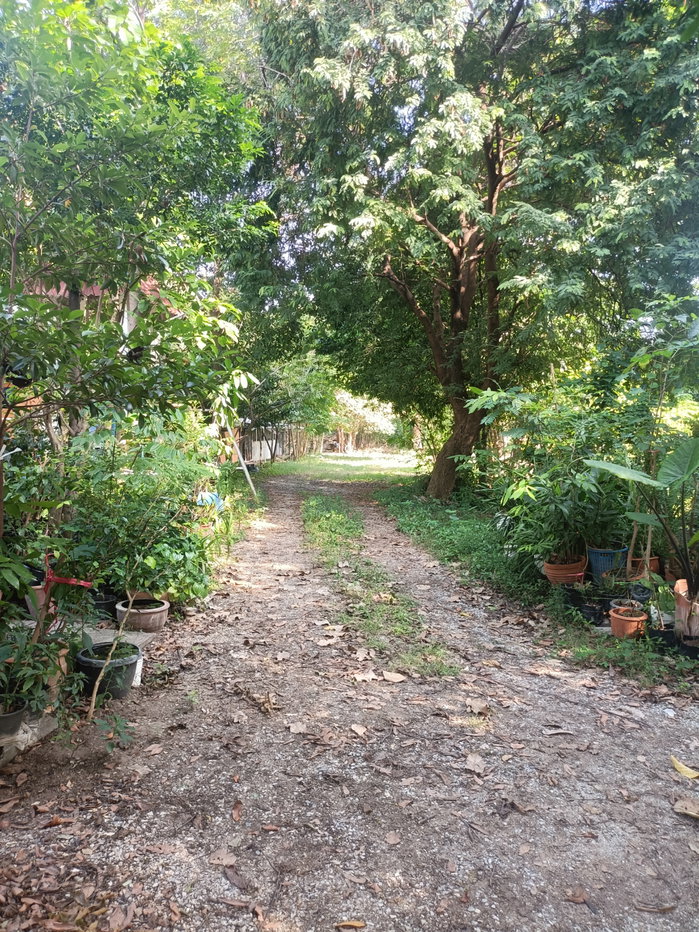 รูป ขายที่ดิน5ไร่2 งาน 69 ตรว  ฟรีบ้านเดี่ยวชั้นเดียว1 หลัง - รูปที่ 28/47
