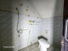 listing thumbnail image 32
