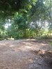 listing thumbnail image 43