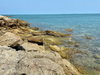listing thumbnail image 77