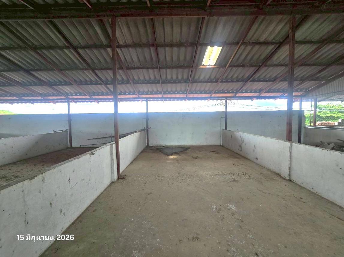 picture SHOP HOUSE 40.3 Sq.w. Nong Muang Khai Phrae for 4.6M - 31/44