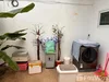 listing thumbnail image 13