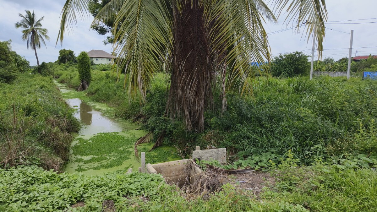 picture Selling a 2+ rai (approximately 0.8 acre) plot of land in Sai Noi, Nonthaburi. It's already leveled and ready for immediate use. - 5/9