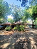listing thumbnail image 22