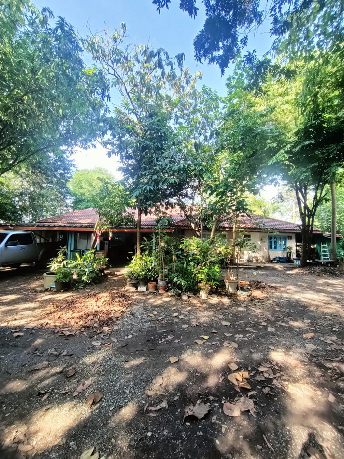 รูป ขายที่ดิน5ไร่2 งาน 69 ตรว  ฟรีบ้านเดี่ยวชั้นเดียว1 หลัง - รูปที่ 23/47