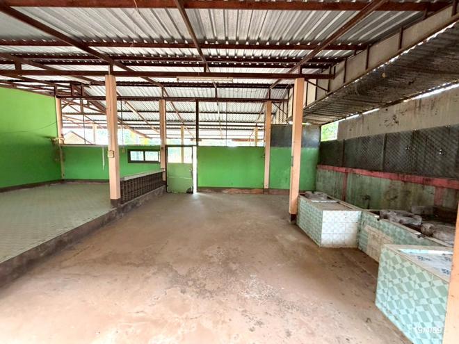 รูป บ้านเดี่ยว 100 ตร.วา โนนสัง หนองบัวลำภู 1.3M - รูปที่ 4/39