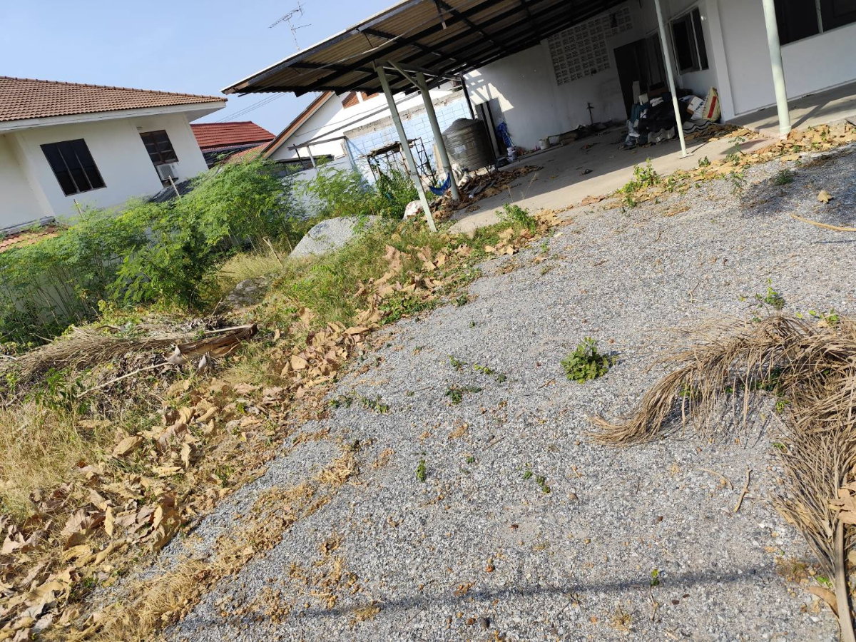 รูป ให้เช่า ที่ดินสีแดงทำเลทอง 200 ตร.ว. พร้อมบ้าน พัทยาเหนือ-โพธิสาร ใกล้ รพ.กรุงเทพ-พัทยา เพียง 400 เมตร (หน้ากว้าง สี่เหลี่ยมสวย) - รูปที่ 5/5