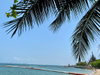 listing thumbnail image 114