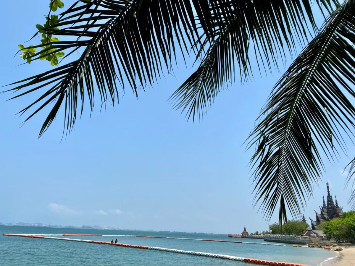picture Condominium 1 bedroom Pattaya Private beach, Sea view - 115/115