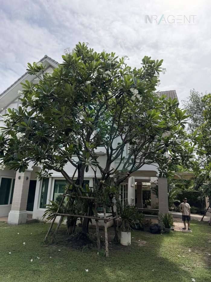 รูป 📌 ขายบ้านเดี่ยว โครงการ ลัดดารมย์ ชัยพฤกษ์ - แจ้งวัฒนะ 2 ชั้น 5 ห้องนอน 5 ห้องน้ำ - รูปที่ 2/8