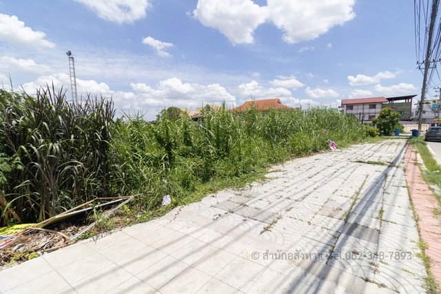 รูป ขายที่ดินติวานนท์ 201 ตร.ว. ทำเลทองติดถนนใหญ่ หน้ากว้าง 35 ม. เหมาะทำสำนักงาน/EV Charger/โชว์รูม - รูปที่ 4/8