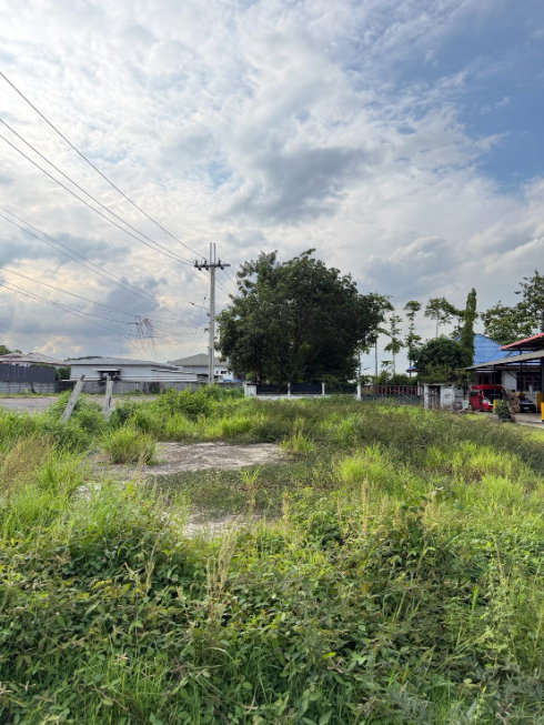 รูป ให้เช่าที่ดินและบ้านเดี่ยว มีนบุรี-หนองจอก เริ่มต้น 400 ตร.ว. ติดถนนประชาร่วมใจ เลือกแบ่งเช่าได้ 3 แปลง - รูปที่ 3/6