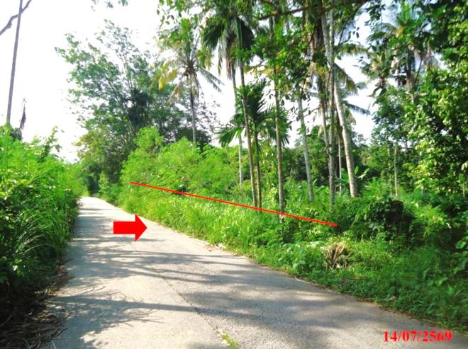 picture LAND 2280.4 Sq.w. Ruso Narathiwat for 1.4M - 2/14