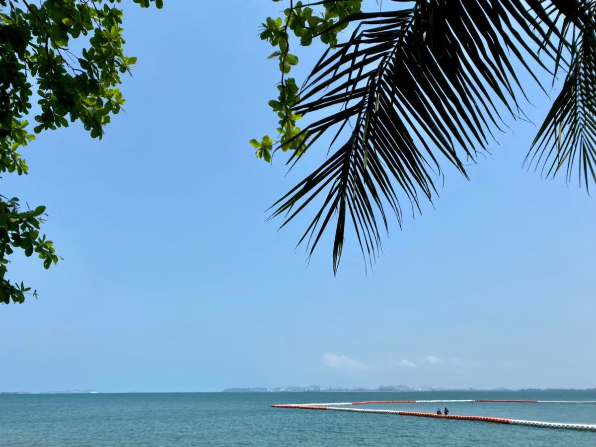 picture Condominium 1 bedroom Pattaya Private beach, Sea view - 113/115