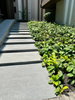 listing thumbnail image 102