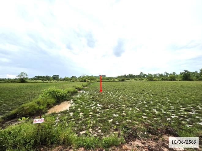 รูป ที่ดินว่างเปล่า 16560 ตร.วา ศรีสงคราม นครพนม 4.1M - รูปที่ 8/24