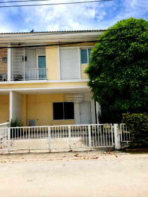 Townhouses for sale Nonthaburi : For Sale House , The Plant Klong Bangpai Station , Ban Mai , Bang Yai , Nonthaburi , CX-167939 ✅ Live chat with us ADD LINE @connexproperty ✅