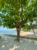 listing thumbnail image 90