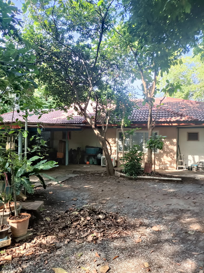 รูป ขายที่ดิน5ไร่2 งาน 69 ตรว  ฟรีบ้านเดี่ยวชั้นเดียว1 หลัง - รูปที่ 14/47