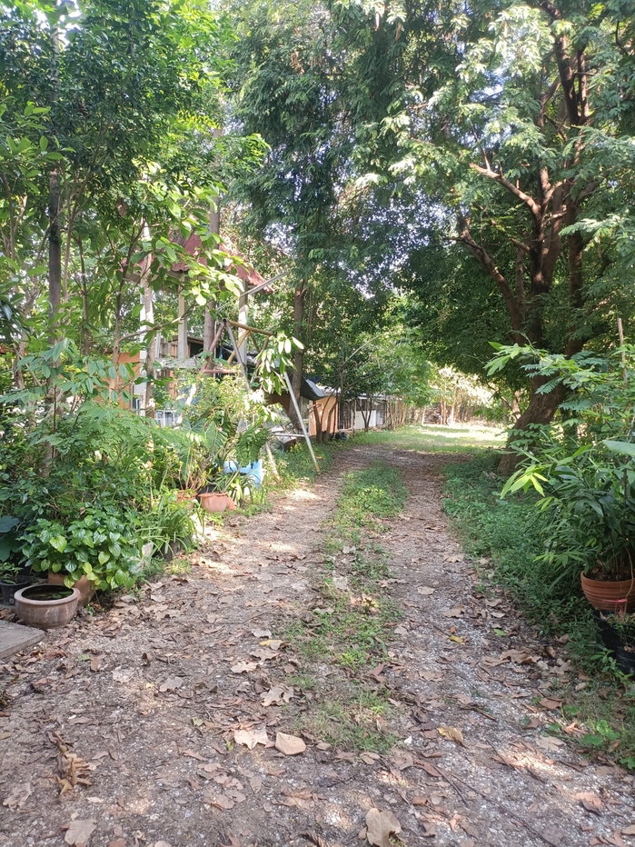 รูป ขายที่ดิน5ไร่2 งาน 69 ตรว  ฟรีบ้านเดี่ยวชั้นเดียว1 หลัง - รูปที่ 29/47