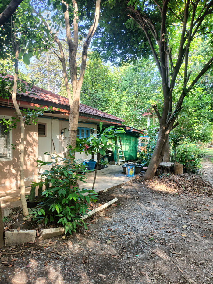 รูป ขายที่ดิน5ไร่2 งาน 69 ตรว  ฟรีบ้านเดี่ยวชั้นเดียว1 หลัง - รูปที่ 45/47