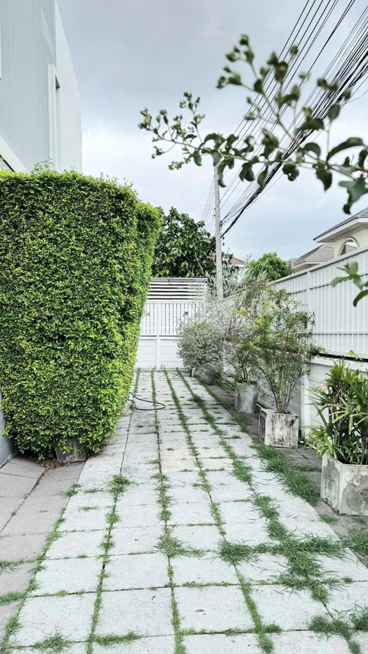 รูป 
  บ้านให้เช่า 2 ชั้น หลังมุม 37 ตร.วา ใกล้ ม.รังสิต หมู่บ้าน Areeya The Color ดอนเมือง - สรงประภา
 เลี้ยงสัตว์ได้ - รูปที่ 2/12