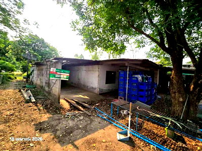 Houses for sale Khanu Woralaksaburi Kamphaeng Phet : HOME 55 Sq.w. Khanu Woralaksaburi Kamphaeng Phet for 754,000
