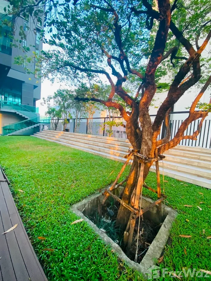 รูป ขาย คอนโด 2 ห้องนอน ในโครงการ เดอะ แคปปิตอล เอกมัย - ทองหล่อ 6660372 - รูปที่ 11/11