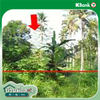 listing thumbnail image 11