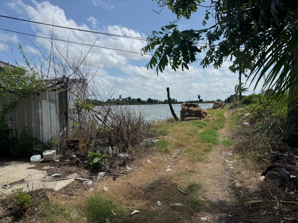 รูป ขายที่ดิน นิคมอุตสาหกรรมเอเชีย **เพียง 5,750/ตร.วา** บางบ่อ สมุทรปราการ (N.2259) - รูปที่ 6/16