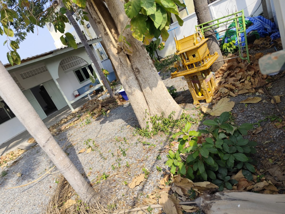 รูป ให้เช่า ที่ดินสีแดงทำเลทอง 200 ตร.ว. พร้อมบ้าน พัทยาเหนือ-โพธิสาร ใกล้ รพ.กรุงเทพ-พัทยา เพียง 400 เมตร (หน้ากว้าง สี่เหลี่ยมสวย) - รูปที่ 3/5