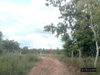 listing thumbnail image 13