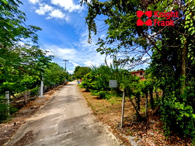 ที่ดิน ปากช่อง โคราช : ขายที่ดิน 1 ไร่ ติดถนนโยธาธิการ ใกล้โบนันซ่า เขาใหญ่ จังหวัดนครราชสีมา