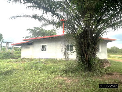 บ้านเดี่ยว มุกดาหาร : บ้านเดี่ยว 2687 ตร.วา หว้านใหญ่ มุกดาหาร 1.7M
