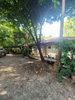 listing thumbnail image 25