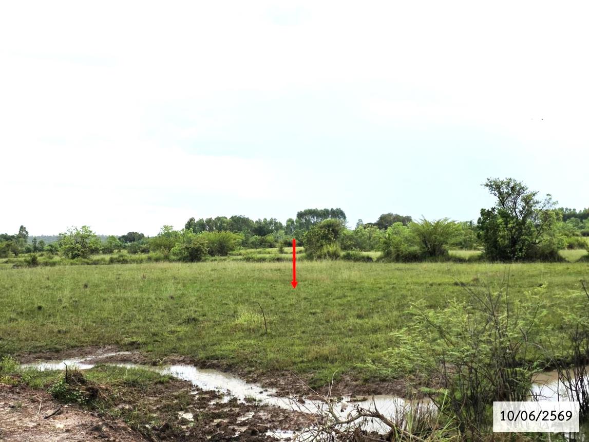 รูป ที่ดินว่างเปล่า 16560 ตร.วา ศรีสงคราม นครพนม 4.1M - รูปที่ 17/24
