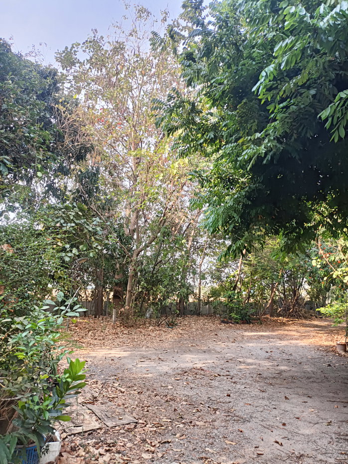 รูป ขายที่ดิน5ไร่2 งาน 69 ตรว  ฟรีบ้านเดี่ยวชั้นเดียว1 หลัง - รูปที่ 6/47