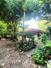 listing thumbnail image 26