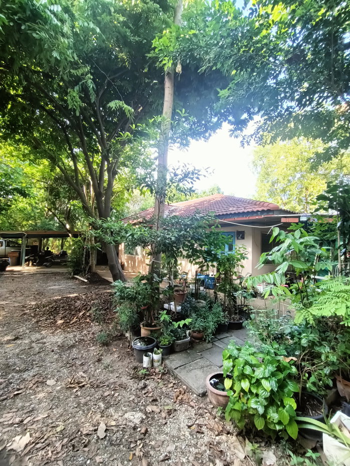 รูป ขายที่ดิน5ไร่2 งาน 69 ตรว  ฟรีบ้านเดี่ยวชั้นเดียว1 หลัง - รูปที่ 27/47
