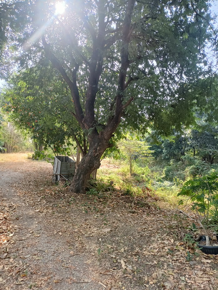 รูป ขายที่ดิน5ไร่2 งาน 69 ตรว  ฟรีบ้านเดี่ยวชั้นเดียว1 หลัง - รูปที่ 7/47