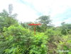 listing thumbnail image 20