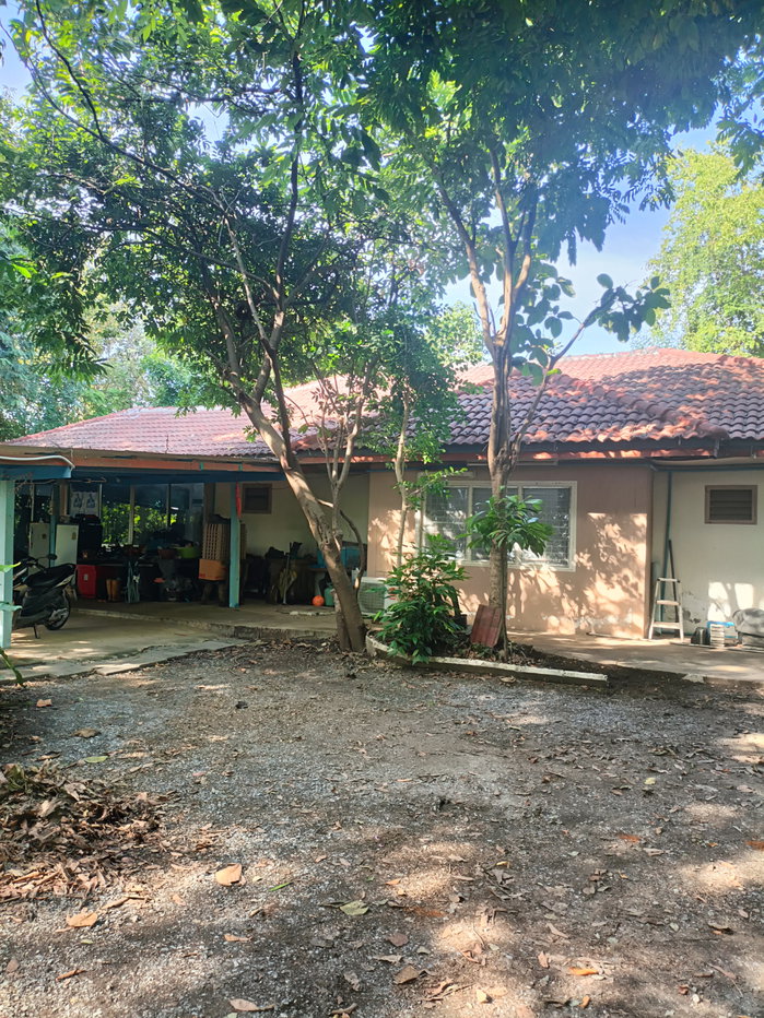 รูป ขายที่ดิน5ไร่2 งาน 69 ตรว  ฟรีบ้านเดี่ยวชั้นเดียว1 หลัง - รูปที่ 19/47