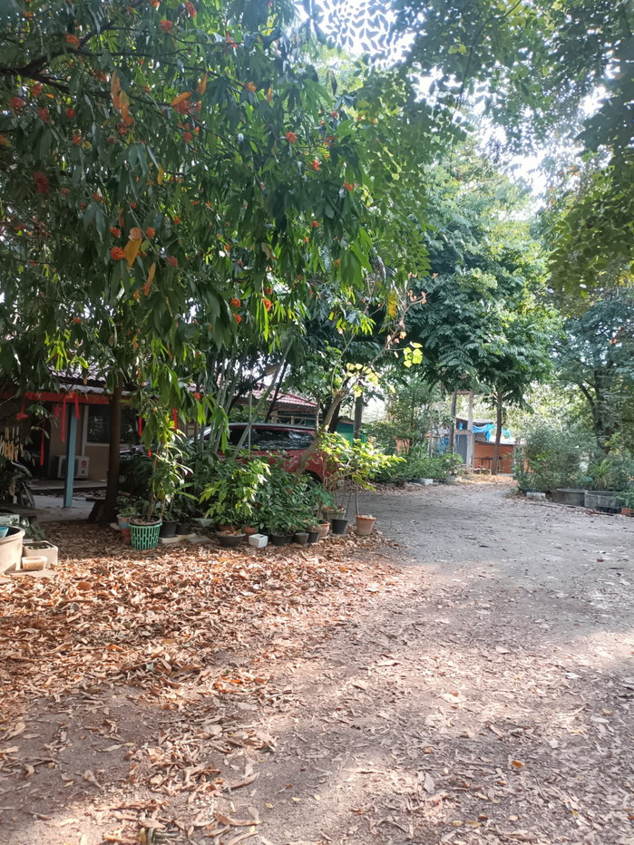 รูป ขายที่ดิน5ไร่2 งาน 69 ตรว  ฟรีบ้านเดี่ยวชั้นเดียว1 หลัง - รูปที่ 3/47