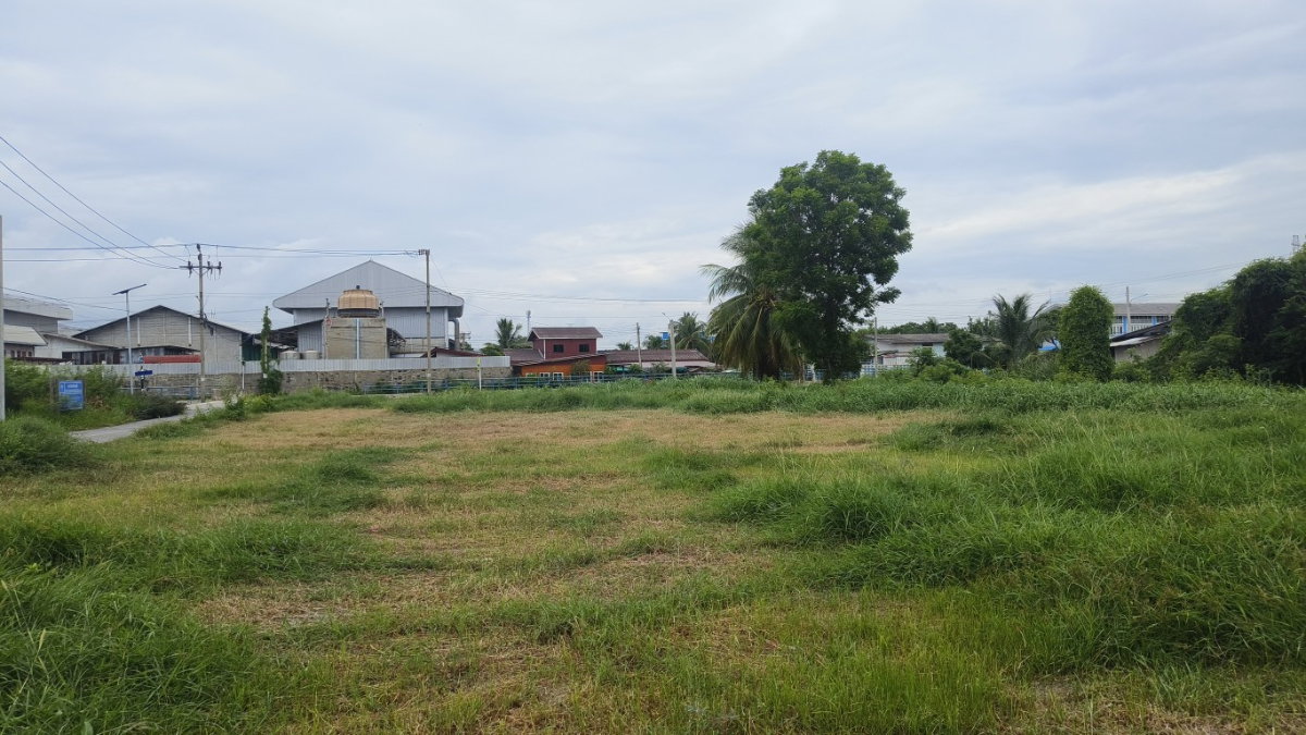 picture Selling a 2+ rai (approximately 0.8 acre) plot of land in Sai Noi, Nonthaburi. It's already leveled and ready for immediate use. - 9/9