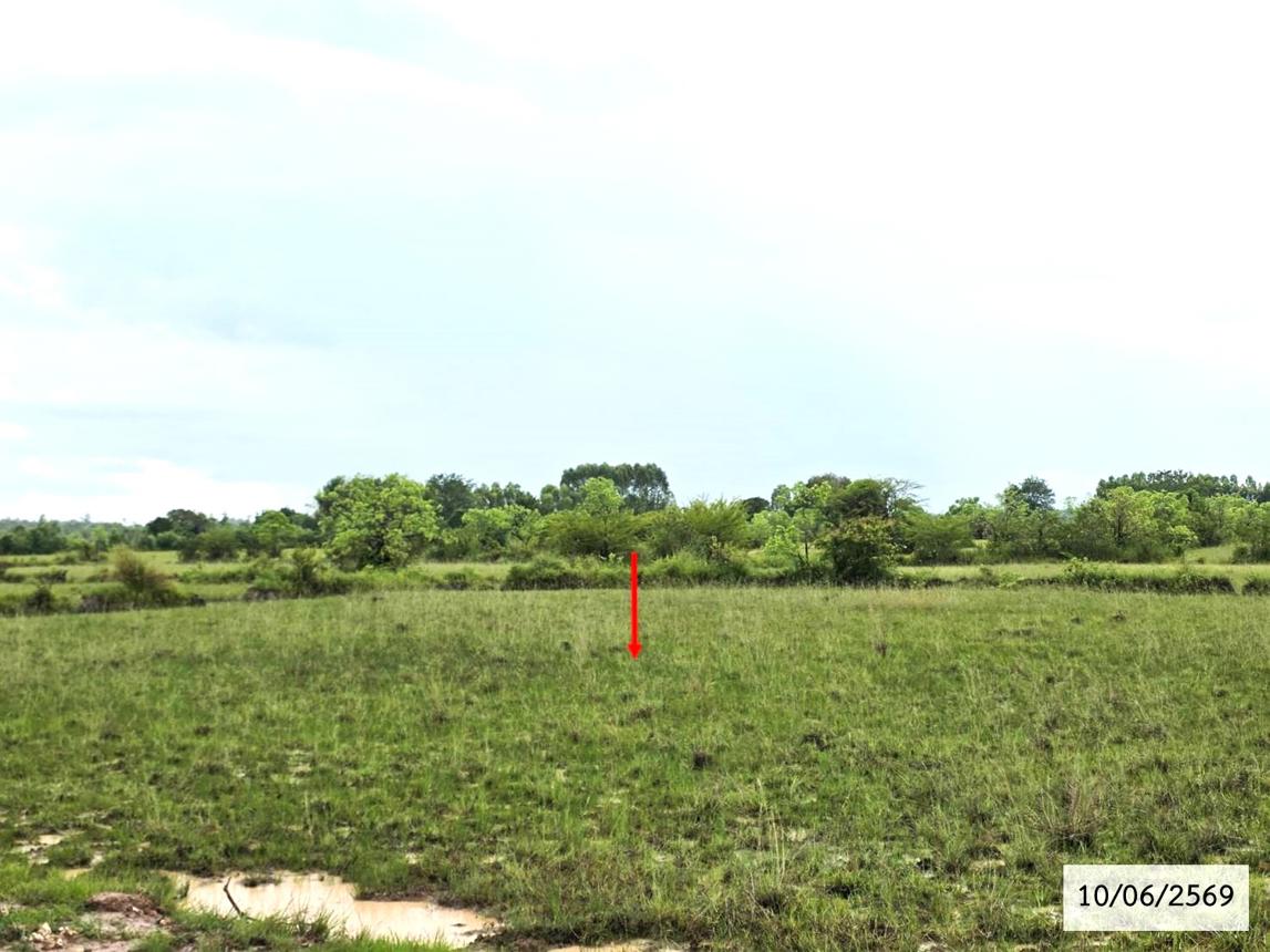 รูป ที่ดินว่างเปล่า 16560 ตร.วา ศรีสงคราม นครพนม 4.1M - รูปที่ 16/24