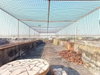 listing thumbnail image 33