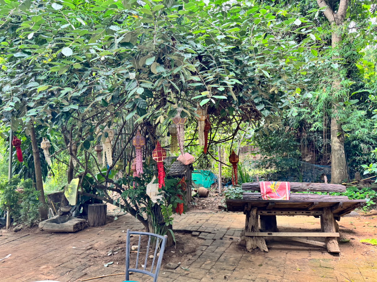picture 🌊 Rare Riverside Land for Sale | Chiang Mai - 6/10