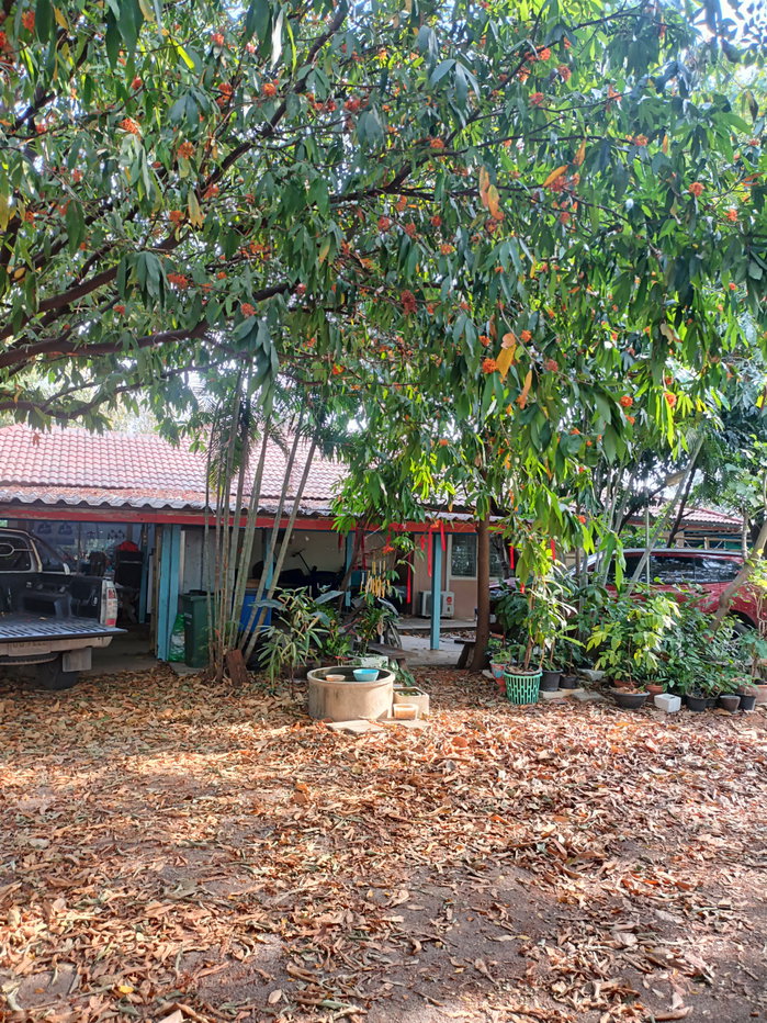 รูป ขายที่ดิน5ไร่2 งาน 69 ตรว  ฟรีบ้านเดี่ยวชั้นเดียว1 หลัง - รูปที่ 2/47