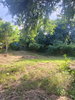 listing thumbnail image 37